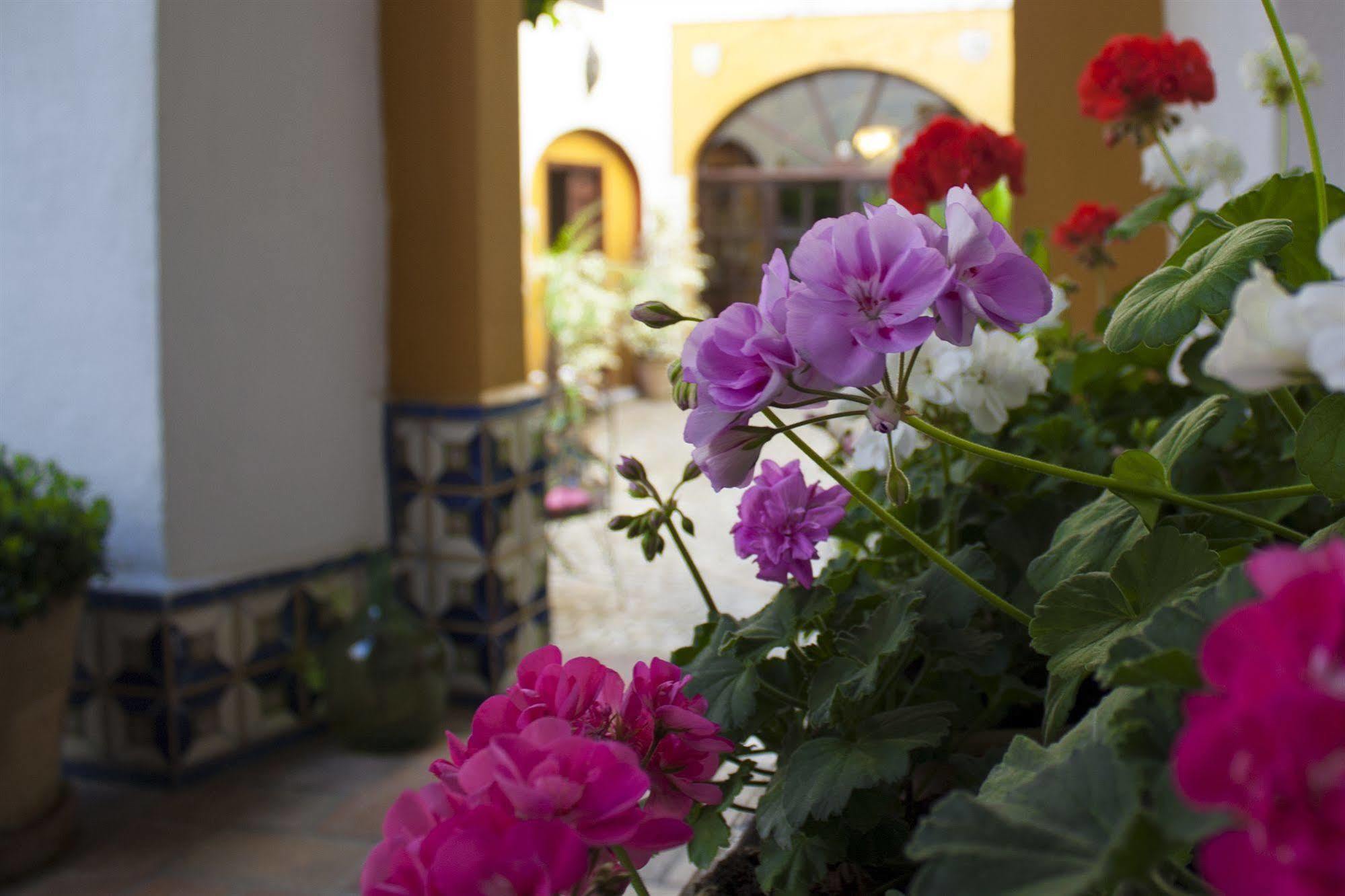 Casa Imperial 4* Seville